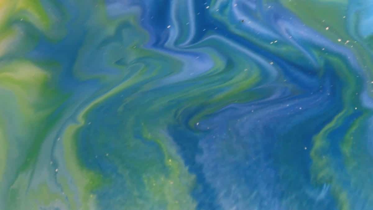 Déménagement et objets précieux : Stratégies efficaces pour protéger vos biens d’art et de valeur