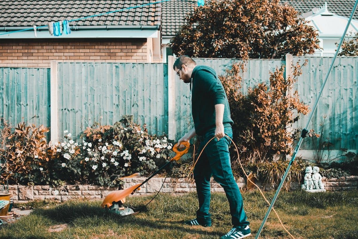 Découverte de l’innovation immobilière : L’application mobile révolutionnant le jardinage de précision
