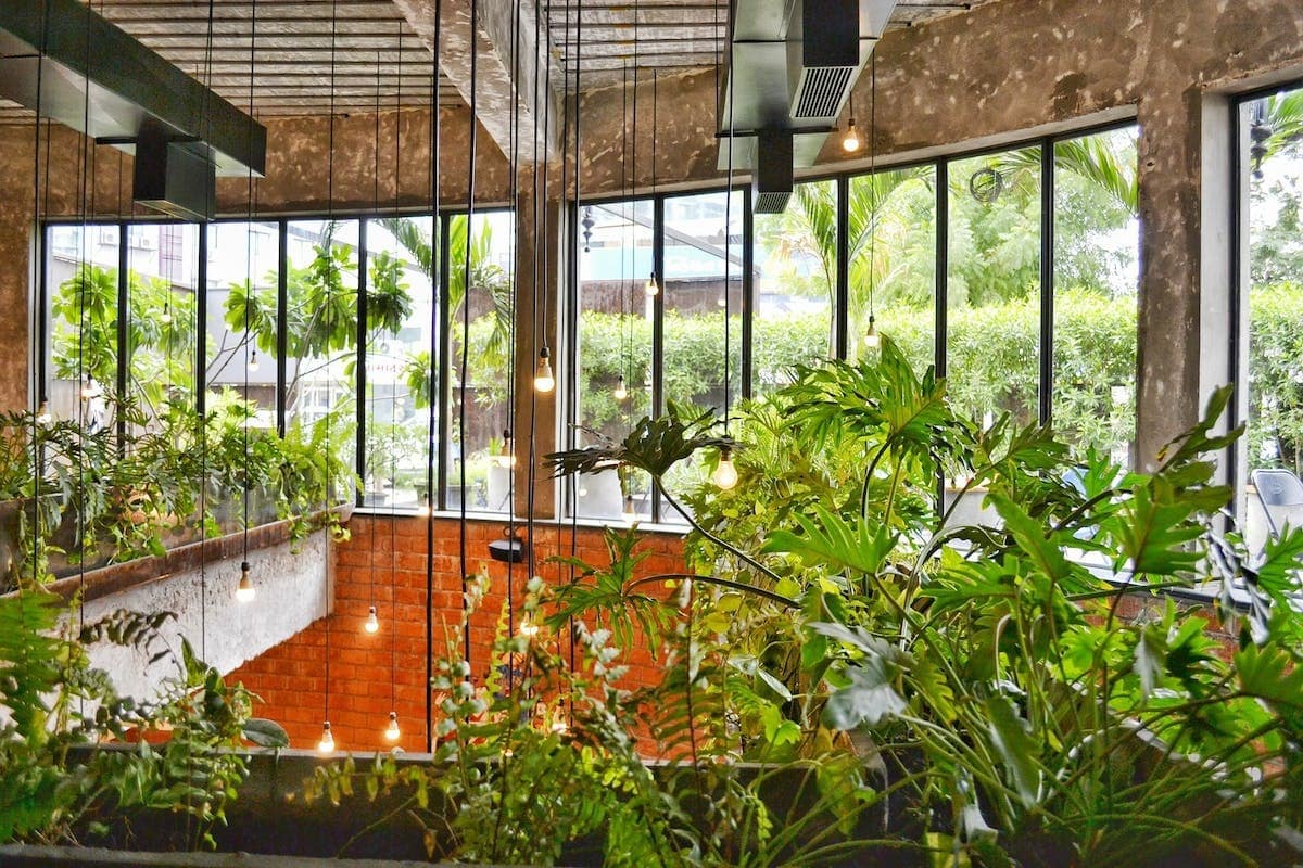 Optimiser son espace extérieur urbain : techniques de jardinage sur balcon pour les citadins