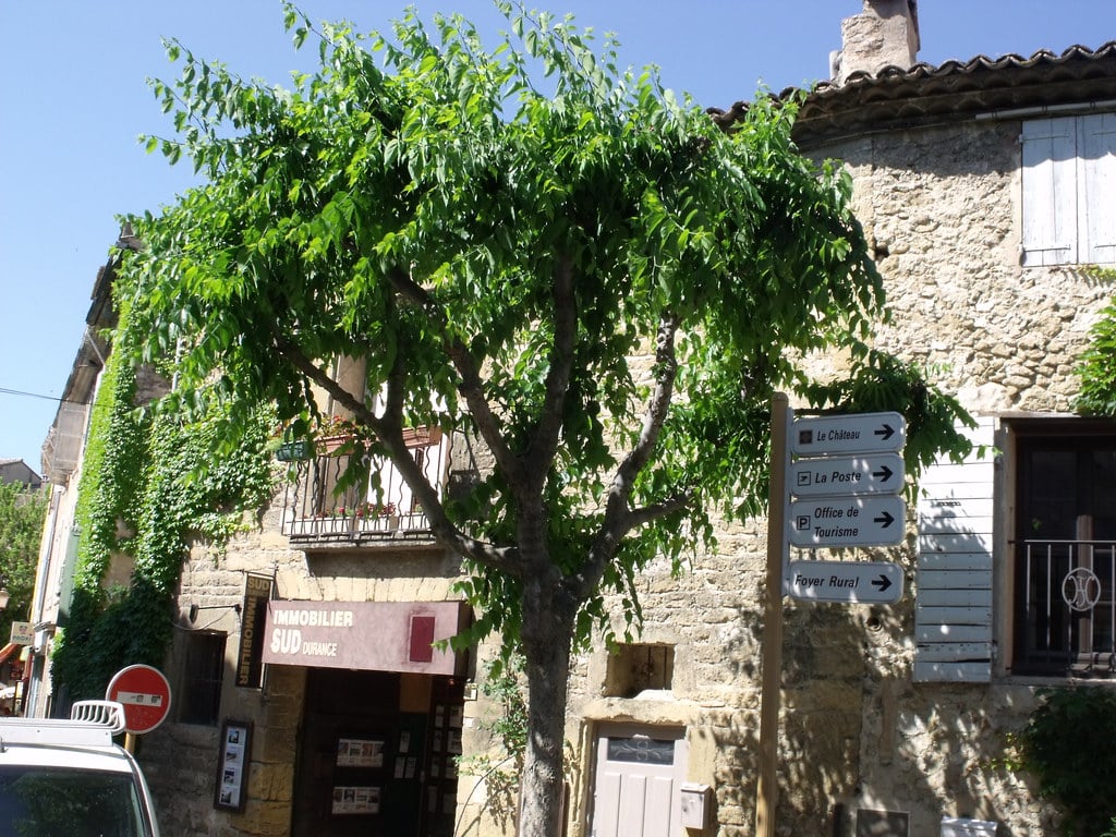 Quels sont les principaux types de transactions immobilières sur un site spécialisé
